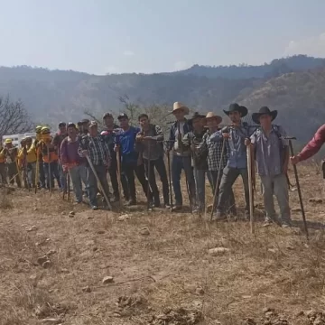 Atiende Coesfo reportes de incendios forestales en la Sierra Sur y Valles Centrales