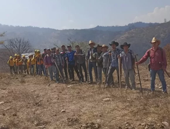 IMG-20250331-WA0010.jpg Atiende Coesfo reportes de incendios forestales en la Sierra Sur y Valles Centrales