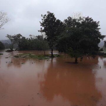 Provocan lluvias inundaciones y desbordamiento del río Uxpanapa en Santa María Chimalapa: Protección Civil