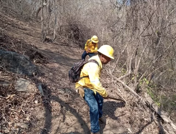 Refuerza Coesfo combate a incendio forestal en San Pedro Pochutla
