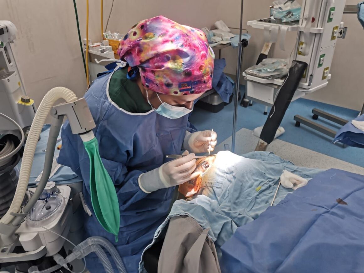 Servicios de Salud de Oaxaca reconoce a las y los donantes de órganos