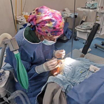 Servicios de Salud de Oaxaca reconoce a las y los donantes de órganos