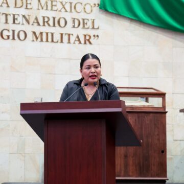 Diputada Monserat Herrera Ruiz se pronuncia a favor de la inclusión de las personas con autismo