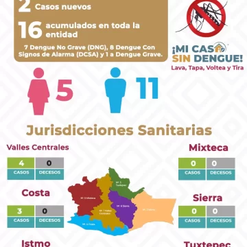 Repelente casero, alternativa efectiva para prevenir el dengue: SSO