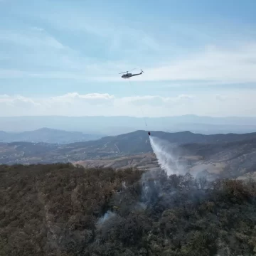 Atiende Gobierno de Oaxaca incendio forestal en San Pedro Pochutla y en los límites de Sola de Vega con San Vicente Coatlán
