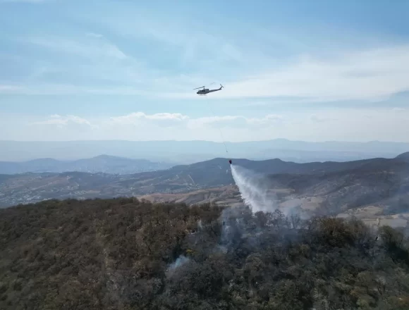 IMG-20250403-WA0082.jpg Atiende Gobierno de Oaxaca incendio forestal en San Pedro Pochutla y en los límites de Sola de Vega con San Vicente Coatlán