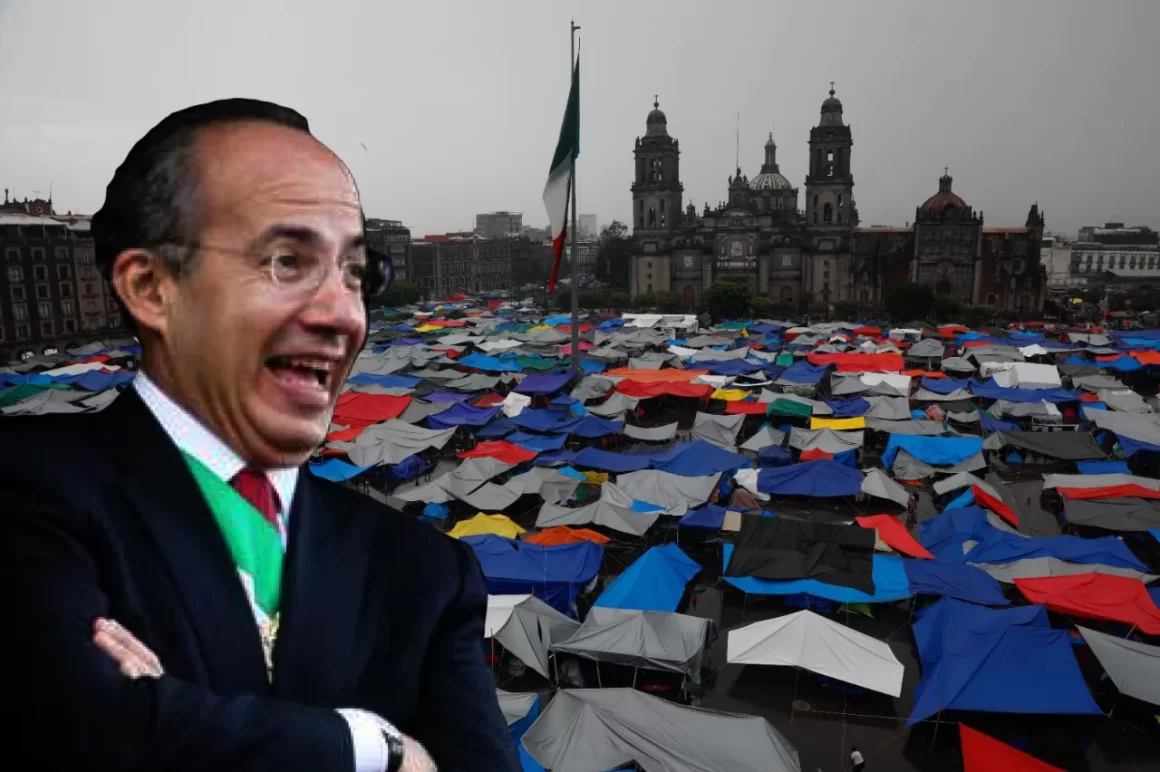 Opinión: ¿Entonces sí servía la reforma de Calderón?