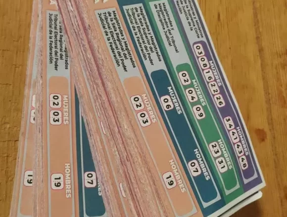 FB_IMG_1748391193317.jpg Recibe INE denuncias sobre distribución de presunta propaganda electoral; investiga e informa a la FISEL