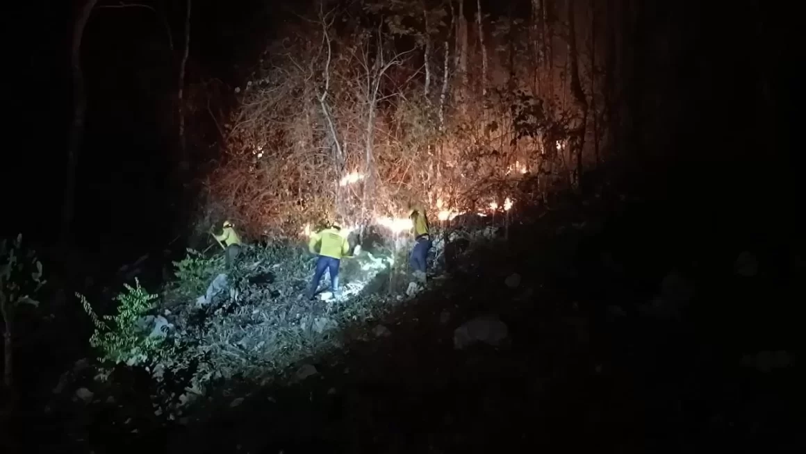 Controla Coesfo incendio forestal en San Juan Bautista Tuxtepec