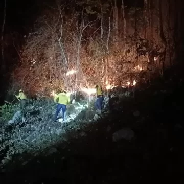 Controla Coesfo incendio forestal en San Juan Bautista Tuxtepec