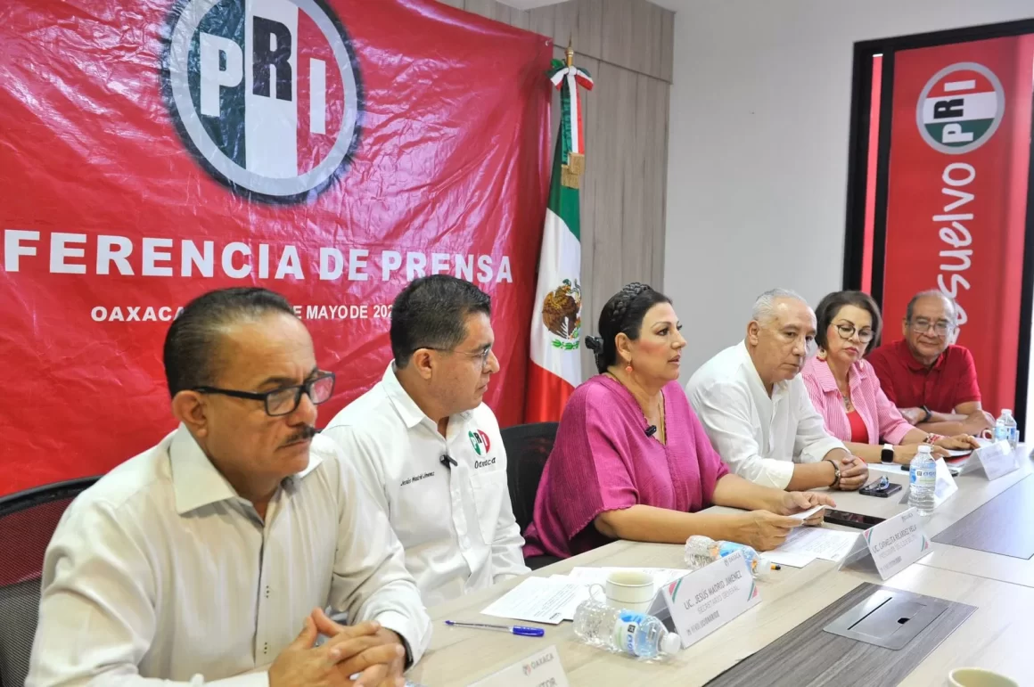 Inteligencia artificial en las aulas y estudios médicos a bajo costo: el PRI propone