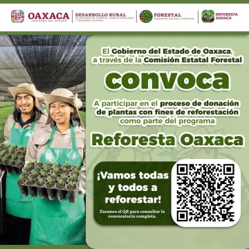 Lanza Coesfo convocatoria para donación de plantas con fines de reforestación