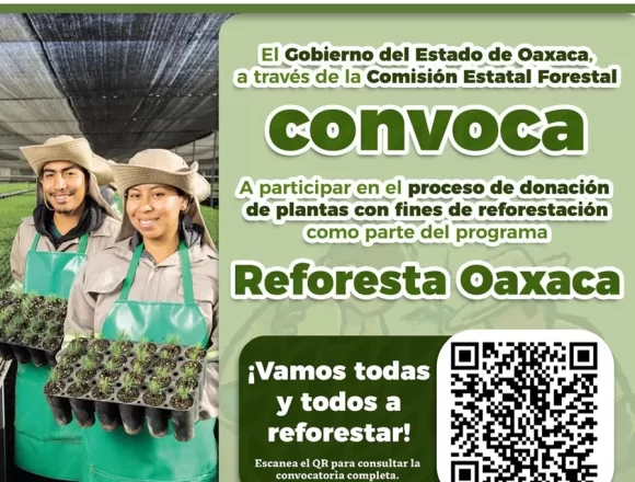 IMG-20250522-WA0053.jpg Lanza Coesfo convocatoria para donación de plantas con fines de reforestación
