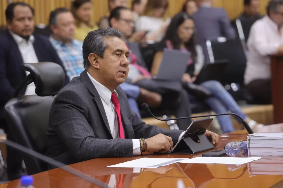 Garantiza INE que será la ciudadanía quien observe el Proceso Electoral del Poder Judicial.