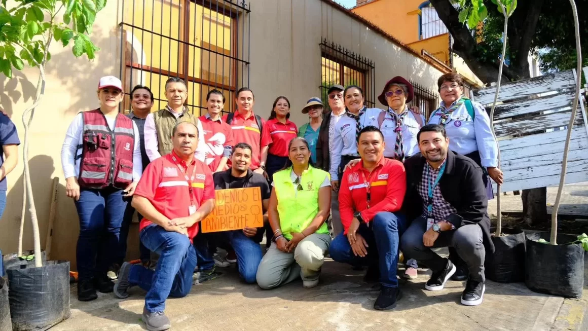 Calles más verdes y seguras en Oaxaca de Juárez