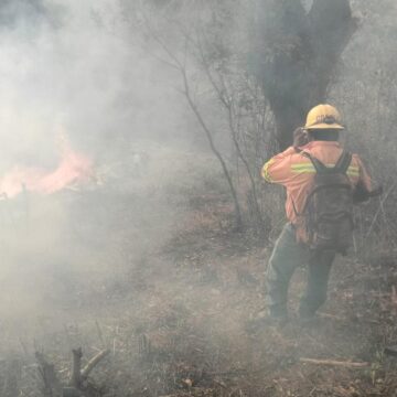 Apoya Coesfo con quema controlada en San Miguel Chimalapa