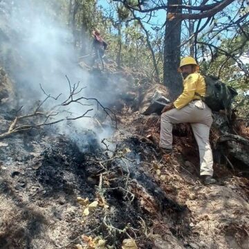 Atiende Coesfo incendio forestal en San Lorenzo Albarradas