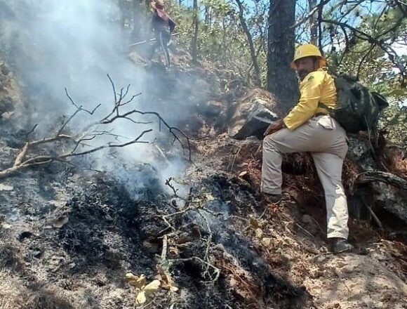 Atiende Coesfo incendio forestal en San Lorenzo Albarradas