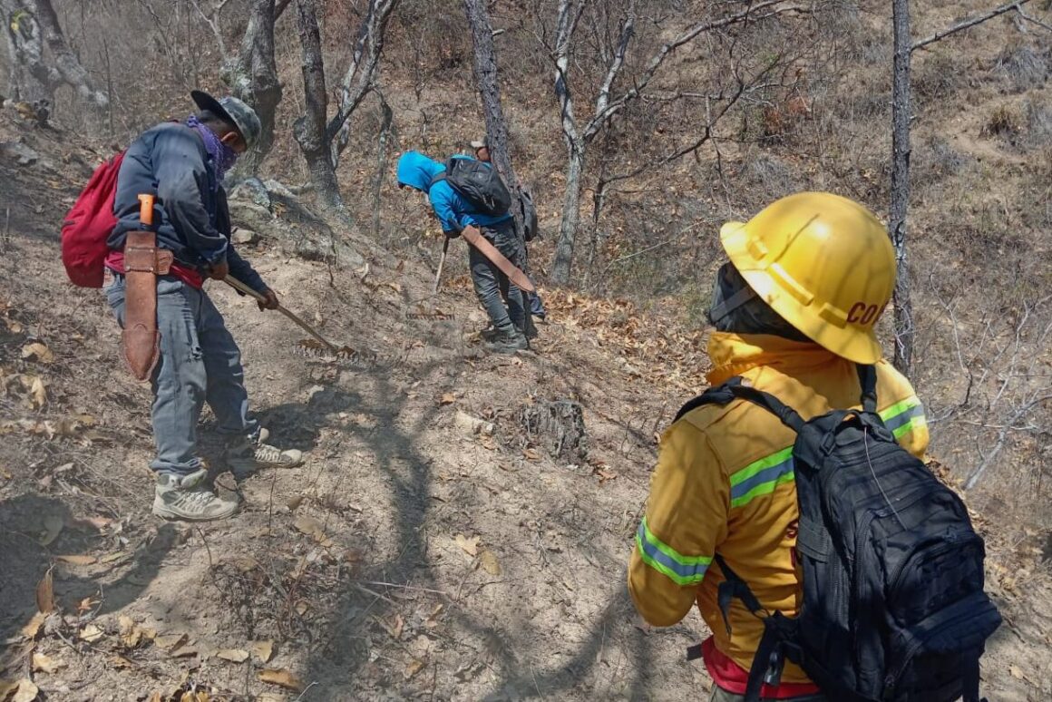 Atiende Coesfo incendio forestal en San Juan Juquila Mixes