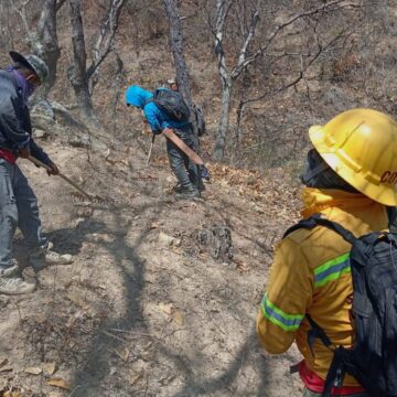 Atiende Coesfo incendio forestal en San Juan Juquila Mixes