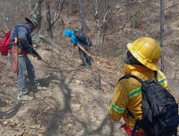 Atiende Coesfo incendio forestal en San Juan Juquila Mixes