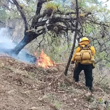 Despliega Gobierno del Estado operativo aéreo para atender incendio forestal en San Miguel Maninaltepec