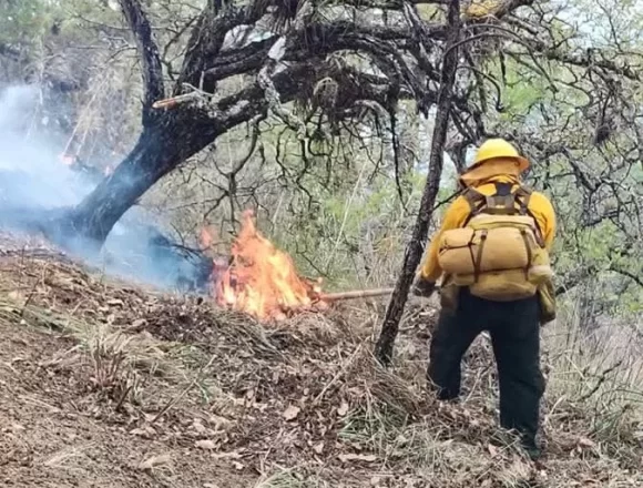 FB_IMG_1749417087403.jpg Despliega Gobierno del Estado operativo aéreo para atender incendio forestal en San Miguel Maninaltepec