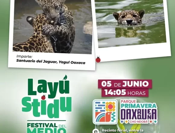 Presentará Gobierno de Oaxaca protocolo para liberación de felinos en el Festival del Medio Ambiente “Layú Stidu”