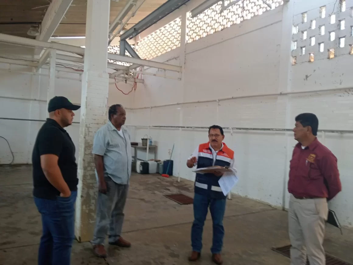 Verifica SSO rastros municipales en la Cuenca