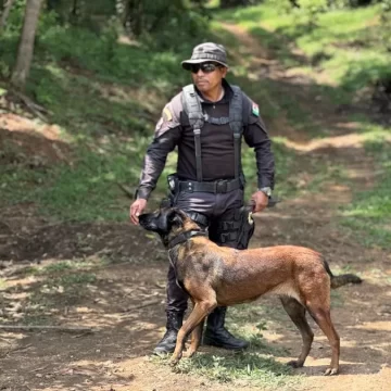 Con tres binomios caninos, CLB intensifica acciones para localizar a menor de la sierra mixe