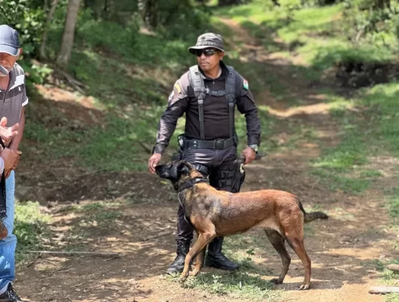 IMG-20250610-WA0044.jpg Con tres binomios caninos, CLB intensifica acciones para localizar a menor de la sierra mixe