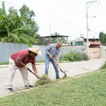 Registra SSO un caso de dengue en la Costa