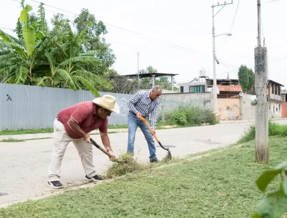 Registra SSO un caso de dengue en la Costa