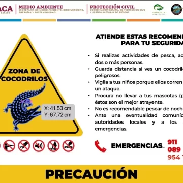 Emite Secretaría de Medio Ambiente recomendaciones por posibles avistamientos de cocodrilos por el paso del huracán “Erick”