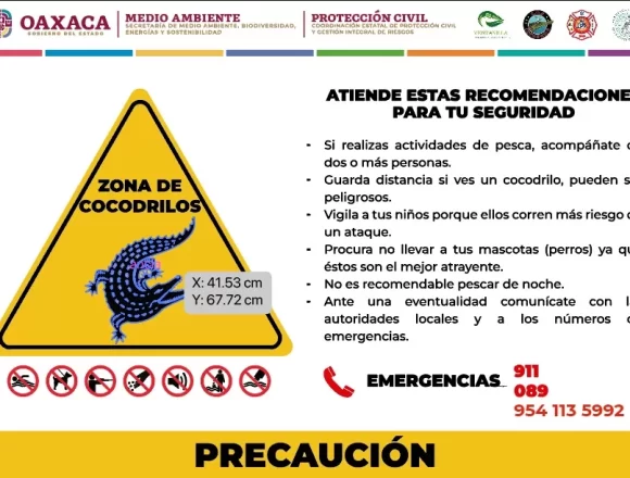 IMG-20250618-WA0061.jpg Emite Secretaría de Medio Ambiente recomendaciones por posibles avistamientos de cocodrilos por el paso del huracán “Erick”