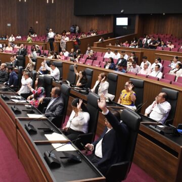 Oaxaca se suma a la lucha contra el maltrato animal: Congreso local aprueba exhorto para su protección