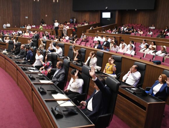 9c6c4b99-f3b3-45ca-98f9-2d51faf3bf9f-2048x1365 Oaxaca se suma a la lucha contra el maltrato animal: Congreso local aprueba exhorto para su protección