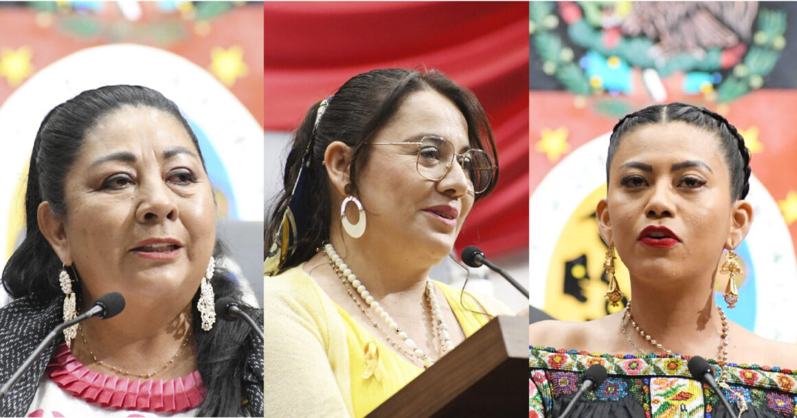 LXVI Legislatura impulsa acciones para la conservación del Caracol Púrpura, la promoción del café oaxaqueño y verificación vehicular