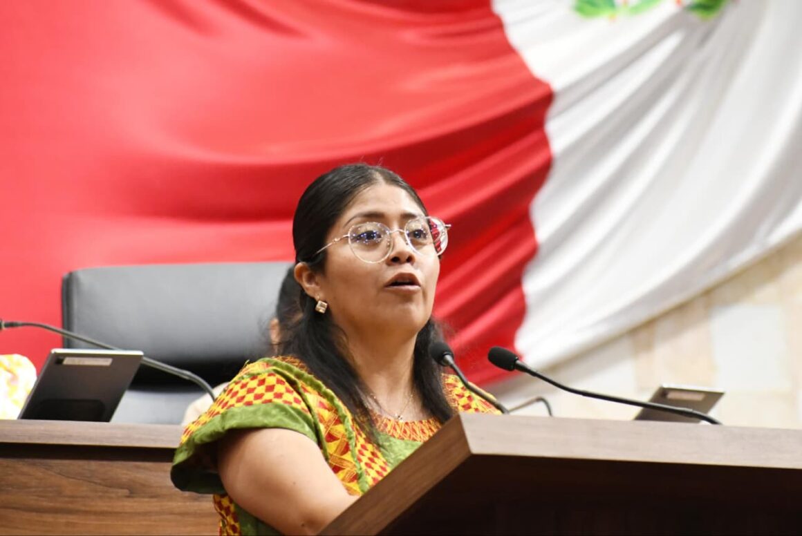 Desde el Parlamento proponen crear Policía Cautelar con enfoque en derechos humanos