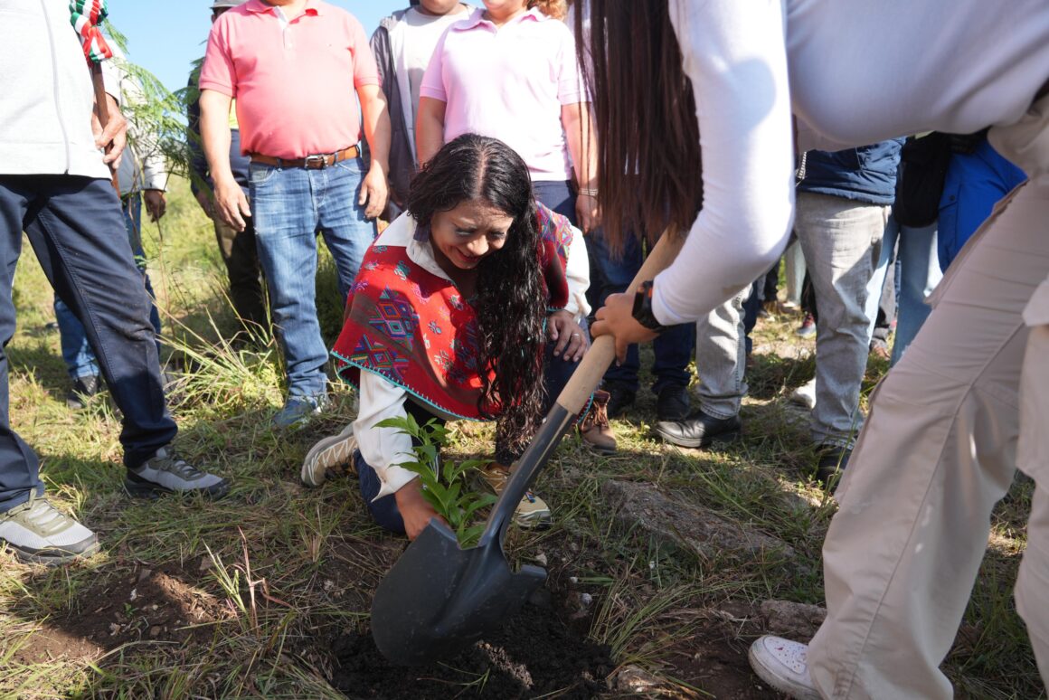 Xoxocotlán suma esfuerzos para sembrar vida en Mega Tequio de Reforestación 