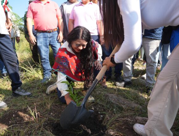 Xoxocotlán suma esfuerzos para sembrar vida en Mega Tequio de Reforestación 