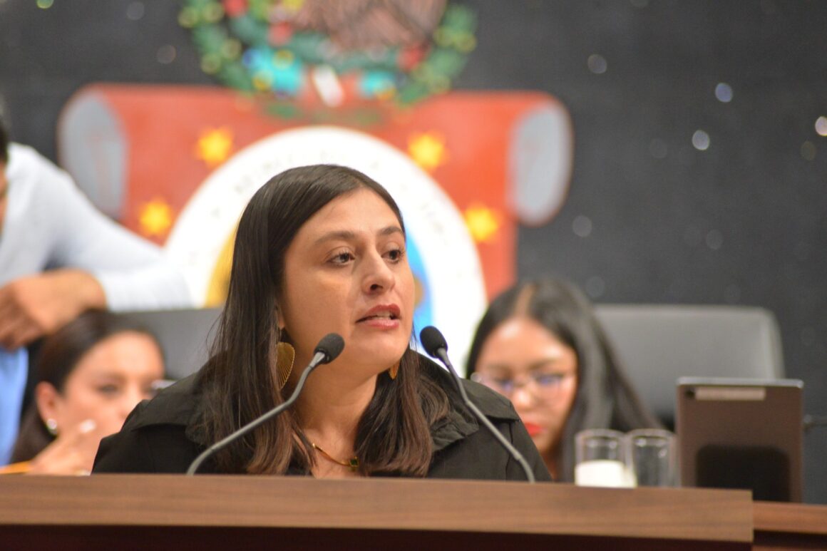 Ayuntamientos deben garantizar la máxima publicidad del Presupuesto de Egresos e Informe Anual de Resultados