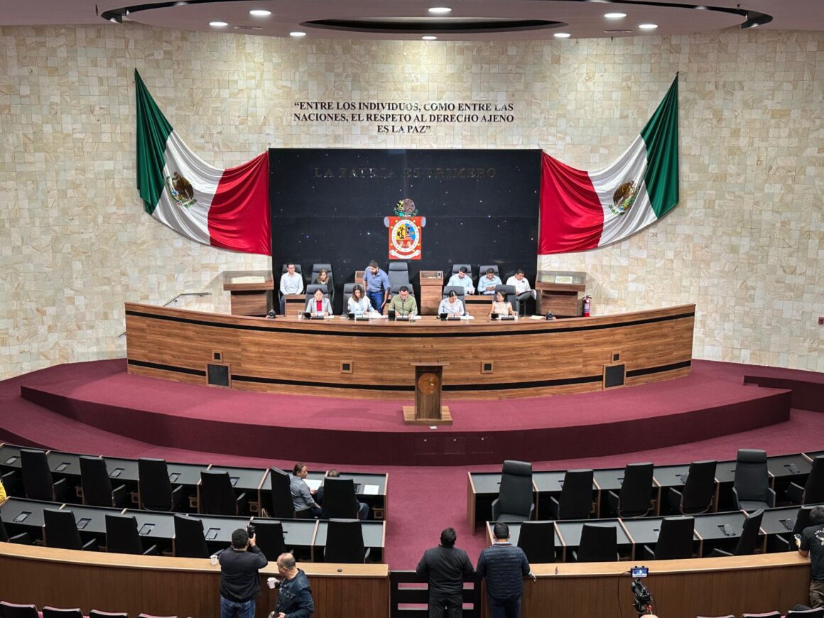 Desde el Congreso local presentan iniciativas para prohibir venta de bebidas energetizantes a menores de 18 años, la inclusión de personas de talla baja, proteger artesanías tradicionales y el medio ambiente en Oaxaca