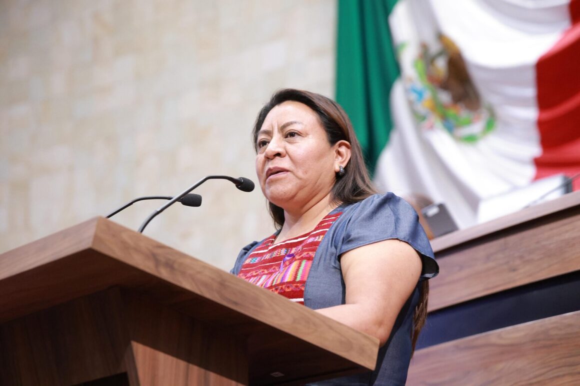 582072f7-499c-4a9d-a507-0e01c199f68b-1536x1024 Exhortan al municipio capitalino a revisar permisos para el uso de cajones de estacionamiento en la vía pública