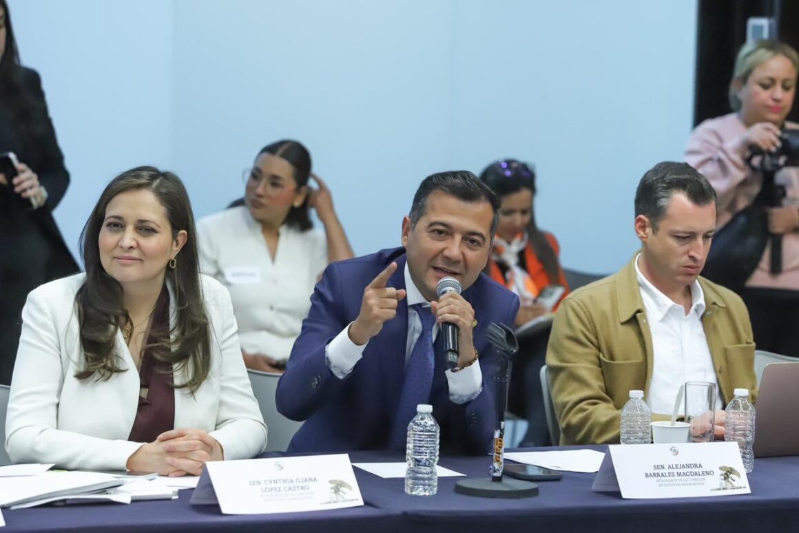 Defiende Luis Alfonso Silva Romo Plan B de la Presidenta en comisiones del senado
