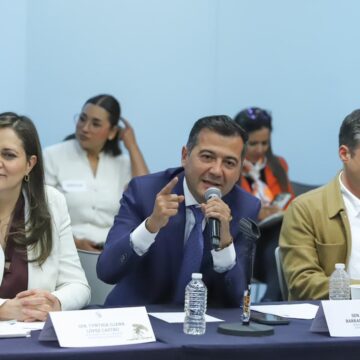 Defiende Luis Alfonso Silva Romo Plan B de la Presidenta en comisiones del senado