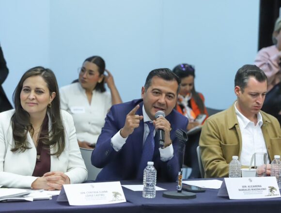 Defiende Luis Alfonso Silva Romo Plan B de la Presidenta en comisiones del senado