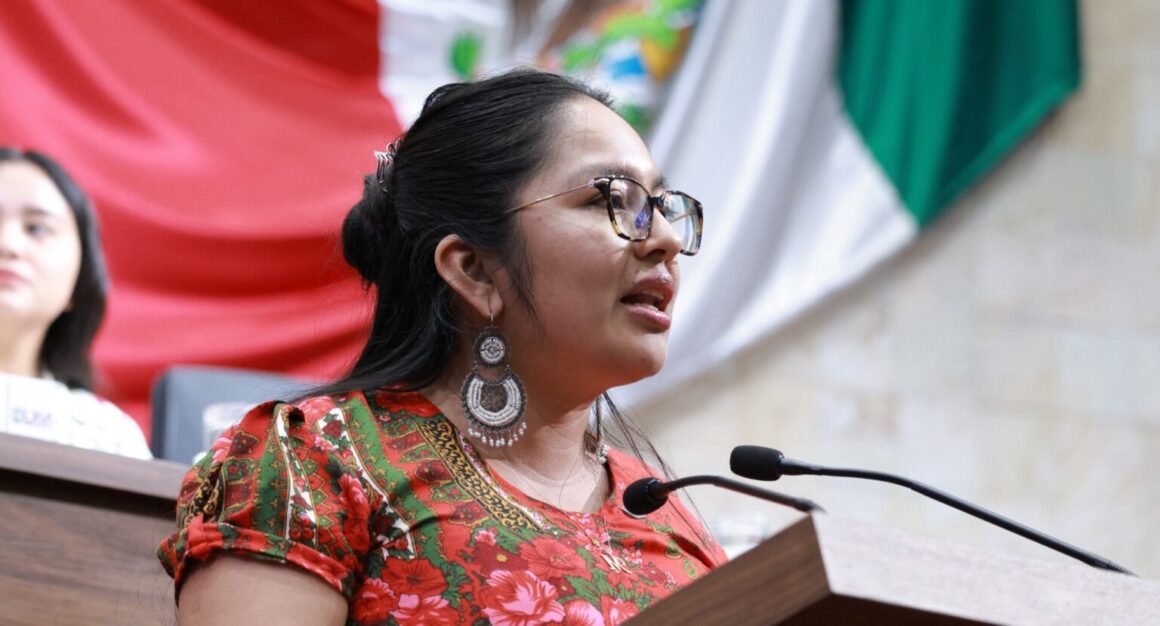 Proponen instituir la “Participación Intercultural Ciudadana” en dinámica parlamentaria