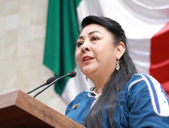 Exhorta Legislativo a Semarnat y Profepa a intensificar vigilancia en mercados de Oaxaca ante venta ilegal de fauna exótica