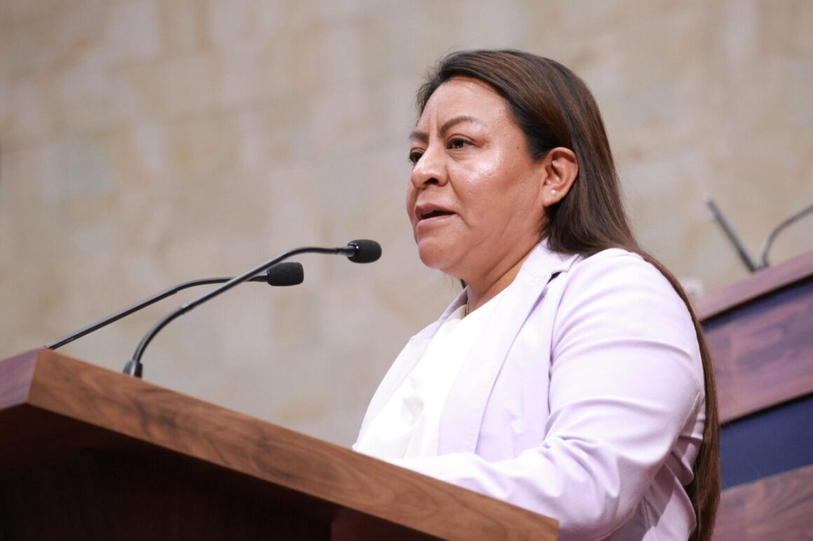 Impulsan en el Poder Legislativo local la incorporación de la economía circular en el manejo de residuos sólidos urbanos